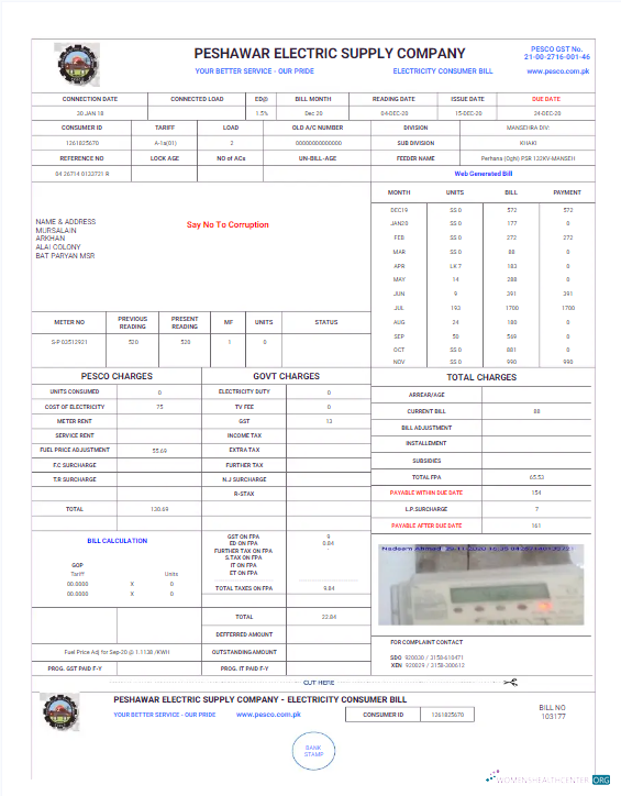 download PAKISTAN PESHAWAR ELECTRIC SUPPLY COMPANY utility bill Word and PDF template PDF template